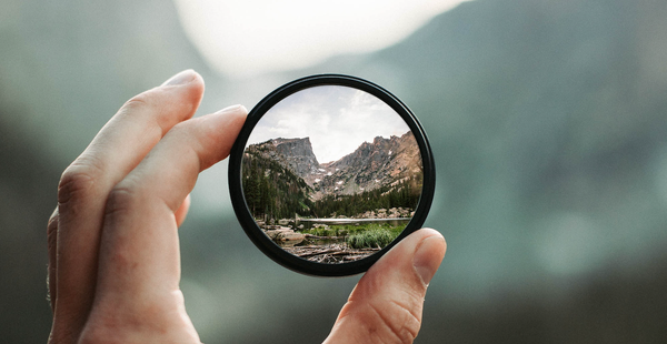 The Value of Being Intellectually Curious